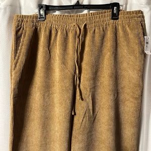 Gap pull on corduroy pants size XL tall NWT